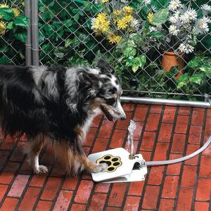 Dog Water Fountain-Sale🎁
