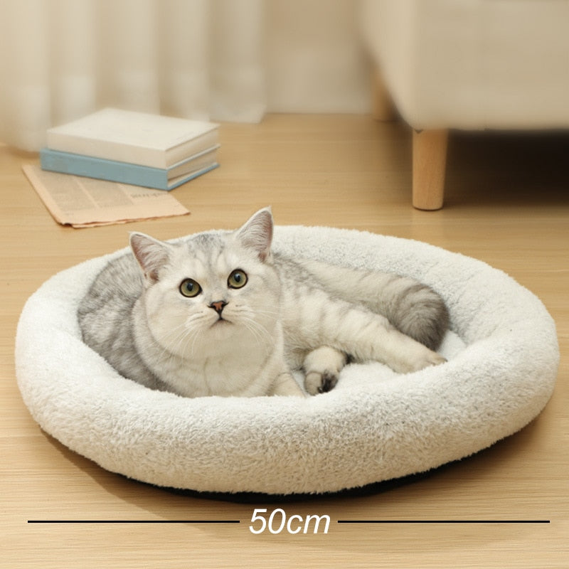 Honey Pot Pet Bed - SALE🎁