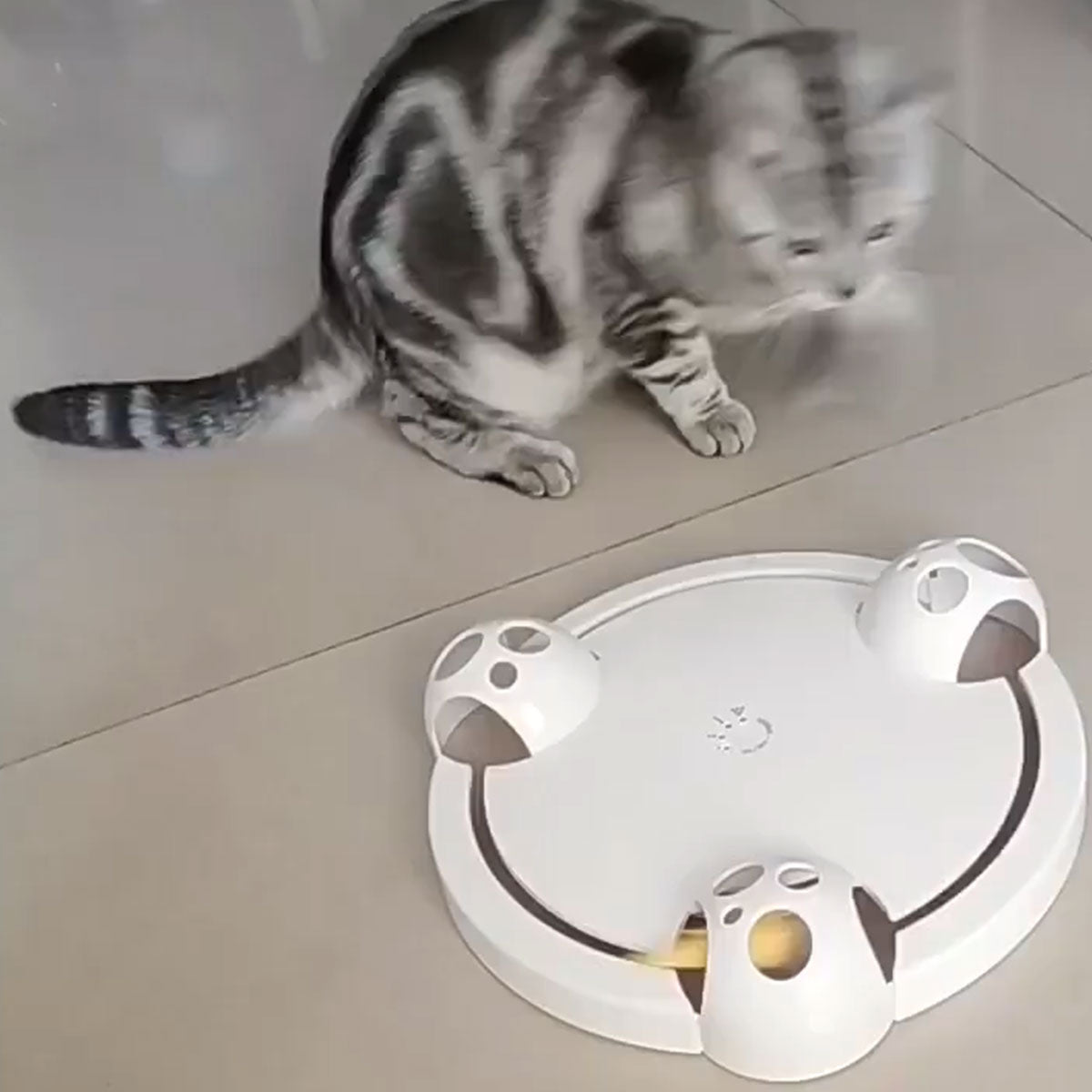 Interactive Mouse Pounce Toy